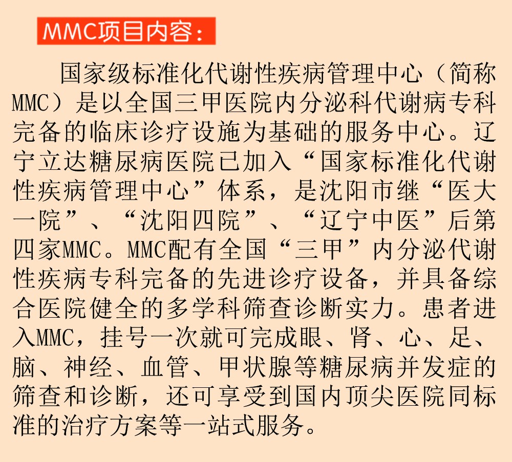 MMC项目内容2.jpg