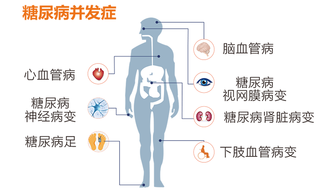 透明退.png